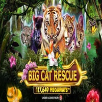 Big Cat Rescue Megaways